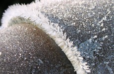 Sub-zero temperatures strike again