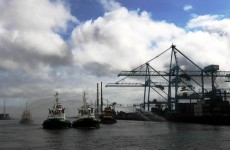 Irish exports see record results for 2010