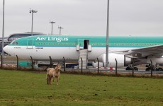 Aer Lingus and pilots’ union to meet with LRC in bid to avoid strike action