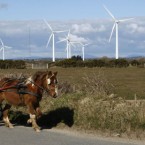 Billy Collins from Wexford town rides his sulky past a field of wind turbines in Kilmore, Co Wexford last year.
