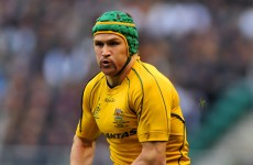 Giteau’s World Cup dream comes to an end