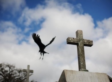 A vulture flies behind a tomb at Guatemala City's main cemetery