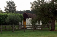 Campaign to save Roald Dahl’s ‘little nest’ writing hut