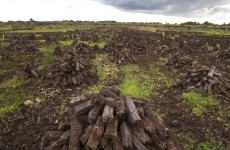 Your guide to: The turf cutting restrictions