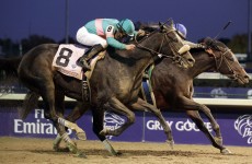 A Bluffer’s Guide to… Breeders’ Cup Weekend