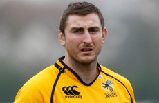 Wasps snap up Leinster lock O’Donoghue