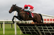 Betfair pins €25m Leopardstown blunder on ‘obvious technical fault’