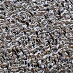 Snow geese in flight. Image by Charles Funk/National Geographic Photo Contest.