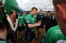 Hickey, Canning and Shefflin honoured in Fitzgibbon centenary team
