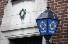 Gardaí arrest 25 people and seize ammunition, drugs and cash in Dublin