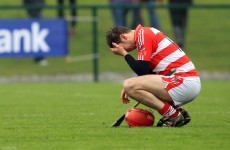 Preview: Little to choose between the Fitzgibbon Cup’s final four