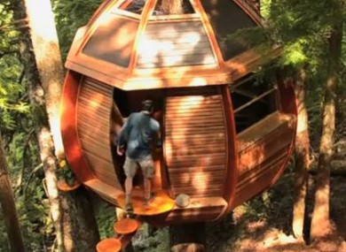 Secret tree house in Canada