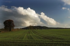 Ireland’s climate change policies “not sufficient” to reach targets