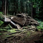Roger Eberhard & James Nizam, Tumulus (Pitt Lake, Lot 30), 2008
