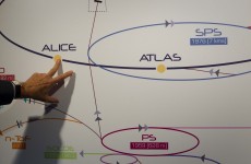 Higgs boson: CERN scientists say they’ve found a new particle…