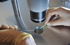 Frozen – over fresh – embryos may improve IVF success