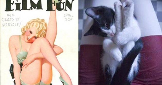 Tumblr of the Day: Cats That Look Like Pinup Girls