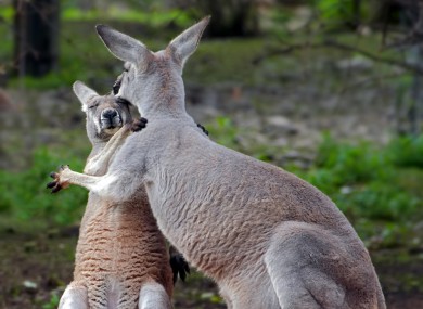 Hugs.