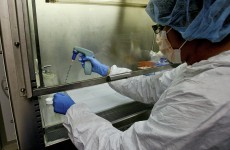 Government urged to bring in stem cell legislation