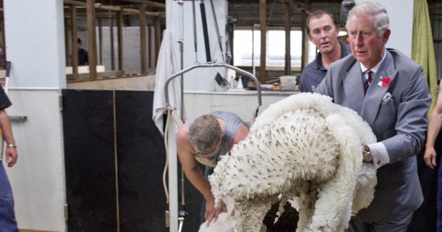PHOTOS: Prince Charles goes sheep shearing