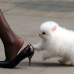 ChinaFotoPress/Photocome/Press Association Images
