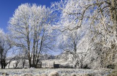 Nearly half of Irish adults worry about elderly relatives during winter – survey