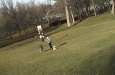 UPDATED: Golden eagle ‘snatches playing toddler’… but it’s a fake