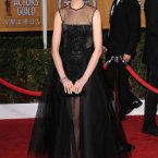 Here's golden girl Anne Hathaway. She appears to be wearing a see-through dress over a plastic dress. 