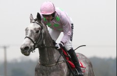 Mark your card: the best bets for today’s Grade racing