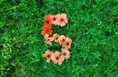 The 5 at 5: Thursday