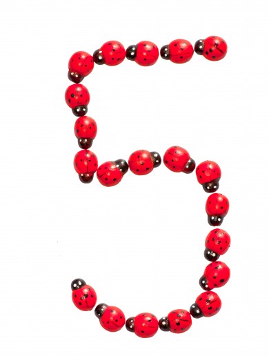 The 5 at 5: Thursday
