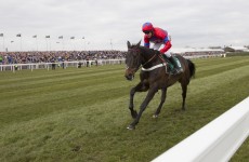Believe the hype: here’s why punters will pack into Punchestown to see Sprinter Sacre