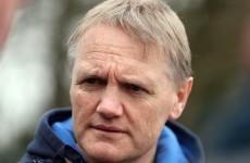 Joe Schmidt ticks every box for the Ireland job… bar 1