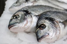 Coveney makes “major step” for Irish fishermen