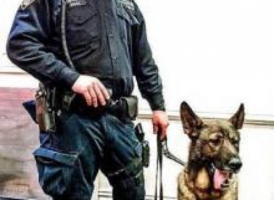 Bear with NYPD officer Vincent Tieniber