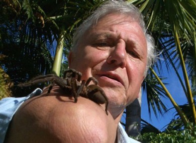 David Attenborough