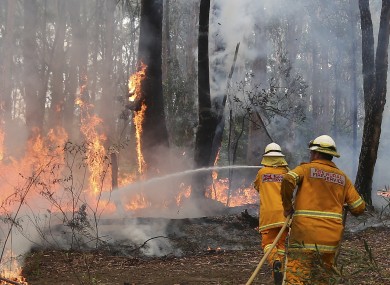 A firefighter tries to control flames near houses at Bilpin, 75 kilometres west of Sydney.