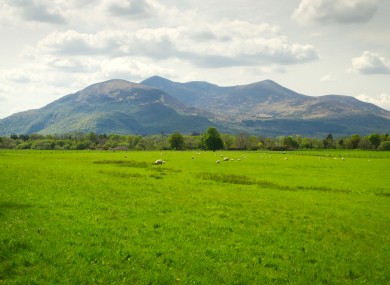 Mountains and grassland in Killarney